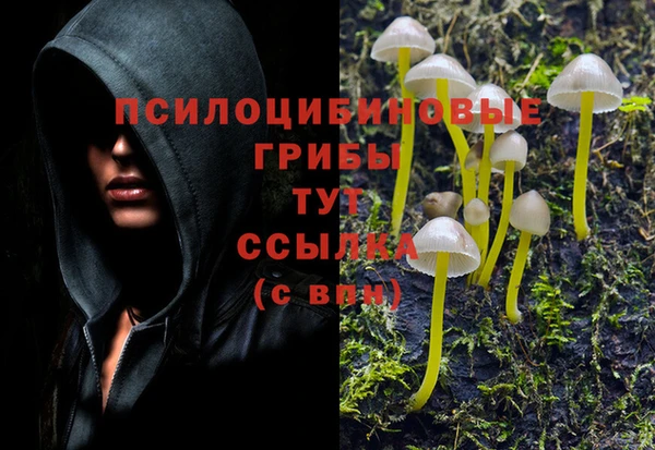 хмурый Балахна
